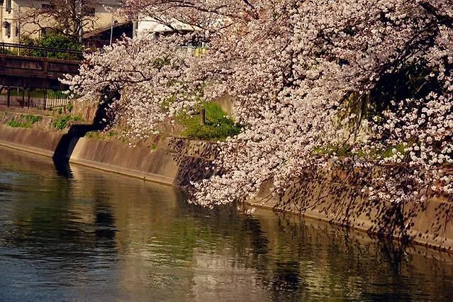 Art Stay In Tofukuji Kyoto Vandrerhjem